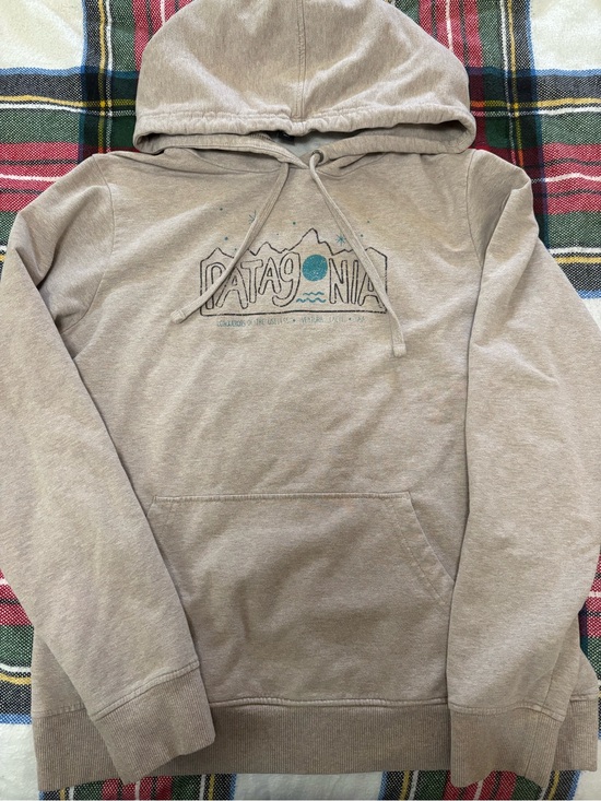 Patagonia Sweaters - Patagonia Women’s Hooded Pullover Sweatshirt - Light Taupe